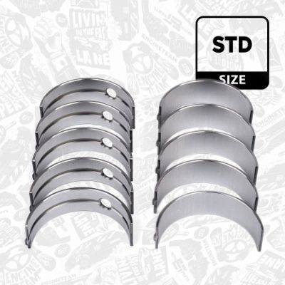 Folhas inseridas principais de cambota, kit, padrão (STD) 6038080000 NE/NPR